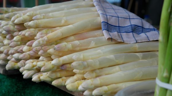 asperge pour professionnels