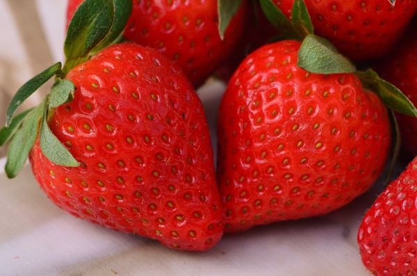 Fraises de toutes origines